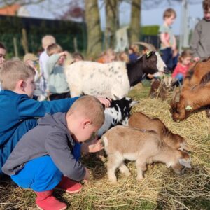 Meter/Peterschap van onze geitjes