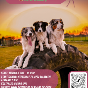 Ticket Te GEK(ke) Hondenwandeling